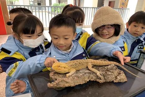 看!这些用科技之光迎接2022的福建少年!休闲区蓝鸢梦想 - Www.slyday.coM 看!这些用科技之光迎接2022的福建少年!休闲区蓝鸢梦想 - Www.slyday.coM