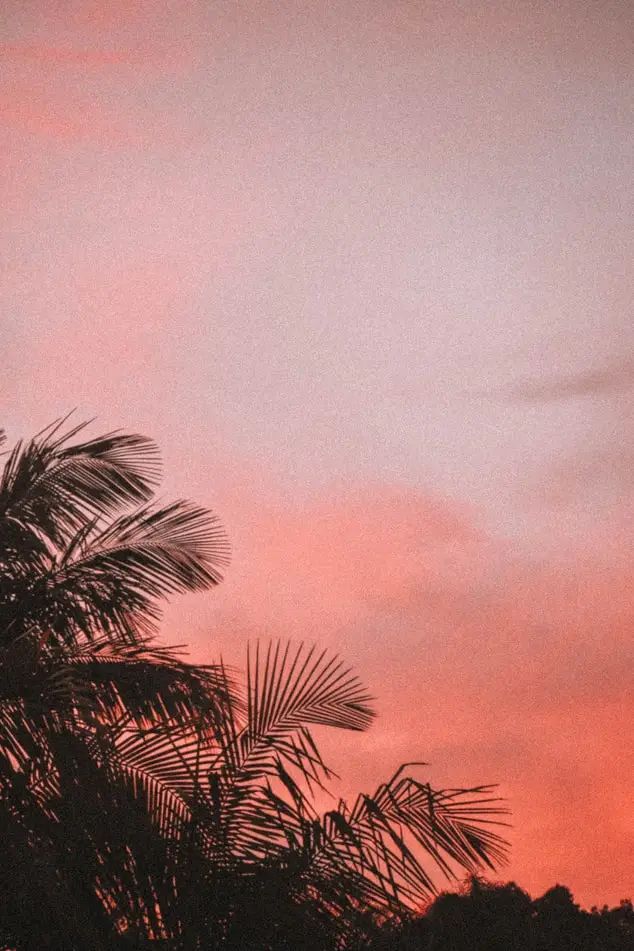 跨年朋友圈文案大赏:最后的展示时刻到了!休闲区蓝鸢梦想 - Www.slyday.coM 跨年朋友圈文案大赏:最后的展示时刻到了!休闲区蓝鸢梦想 - Www.slyday.coM