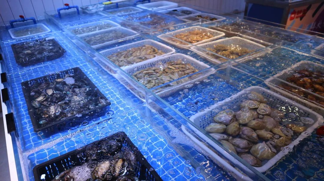 重磅!上海第三座大融城开业了!地铁2号线直达!人气首店抢先看!休闲区蓝鸢梦想 - Www.slyday.coM 重磅!上海第三座大融城开业了!地铁2号线直达!人气首店抢先看!休闲区蓝鸢梦想 - Www.slyday.coM