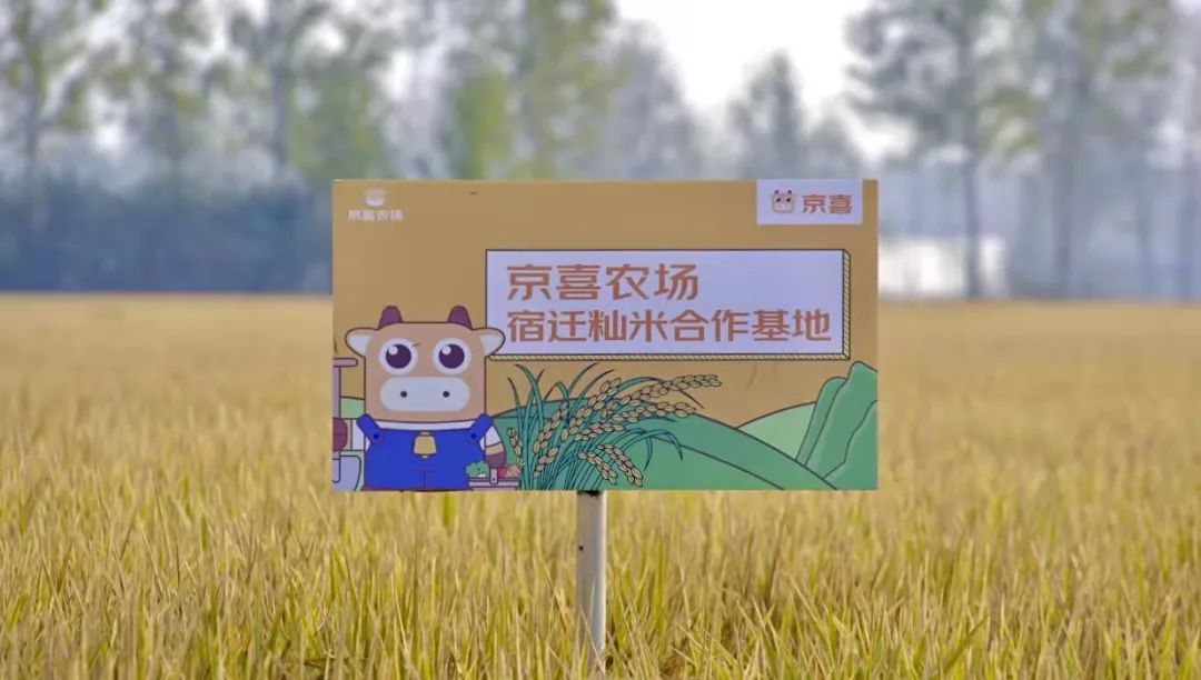 2021,一家民企的“奔富”答卷