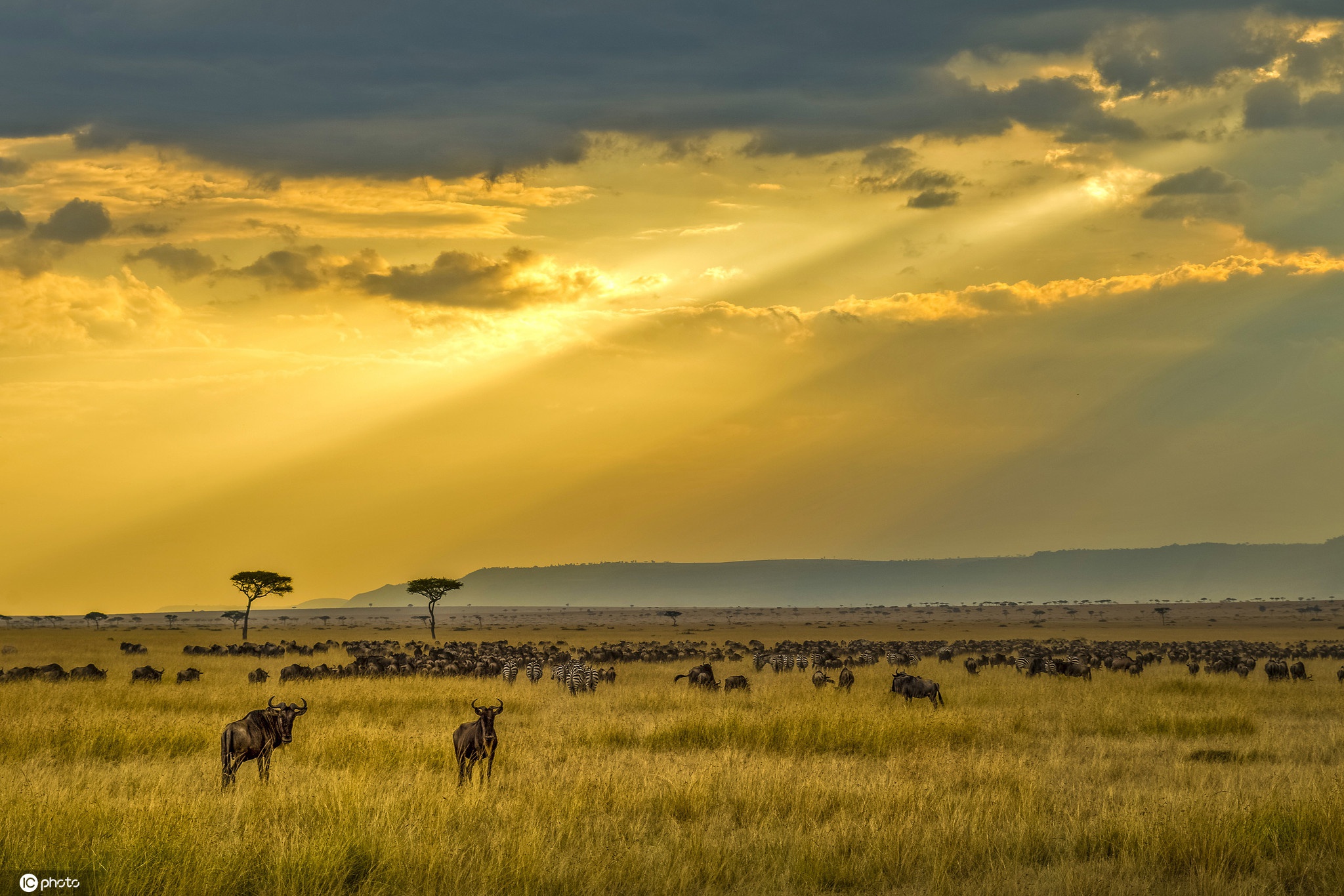 各国打击索马里海盗原因 驱离而不击毙背后考量