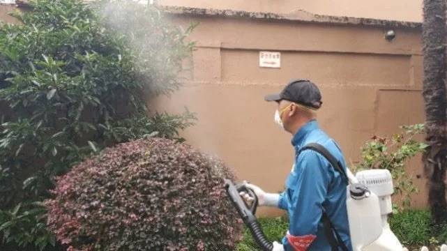 一只越冬蚊能产千余只“蚊二代” 上海全面开展控制越冬蚊突击行动休闲区蓝鸢梦想 - Www.slyday.coM 一只越冬蚊能产千余只“蚊二代” 上海全面开展控制越冬蚊突击行动休闲区蓝鸢梦想 - Www.slyday.coM