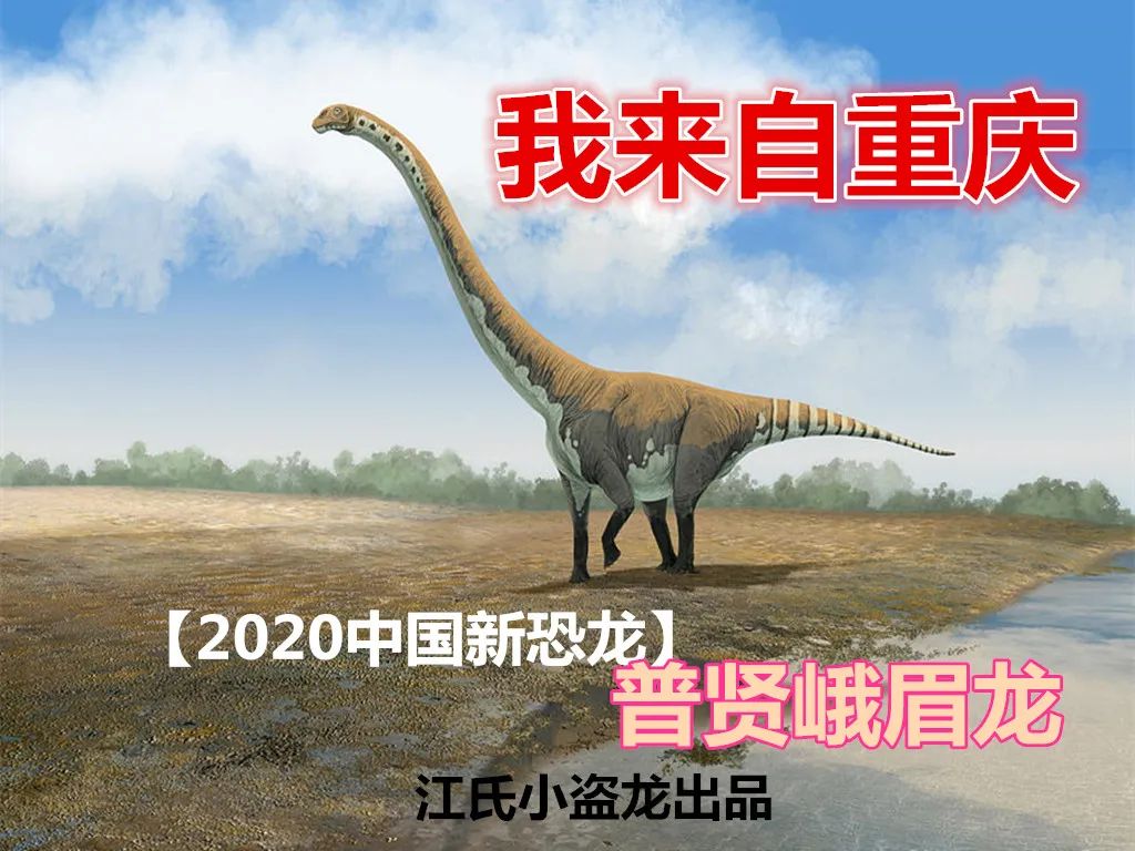 重庆发现新恐龙,名字竟然来自菩萨!