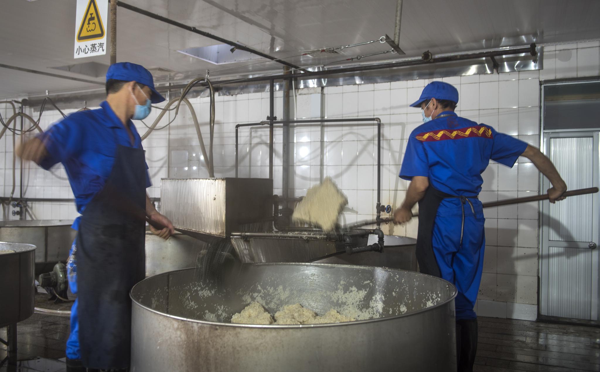 永春老醋以糯米为基本原料，永春老醋公司的工人在处理蒸熟的糯米。