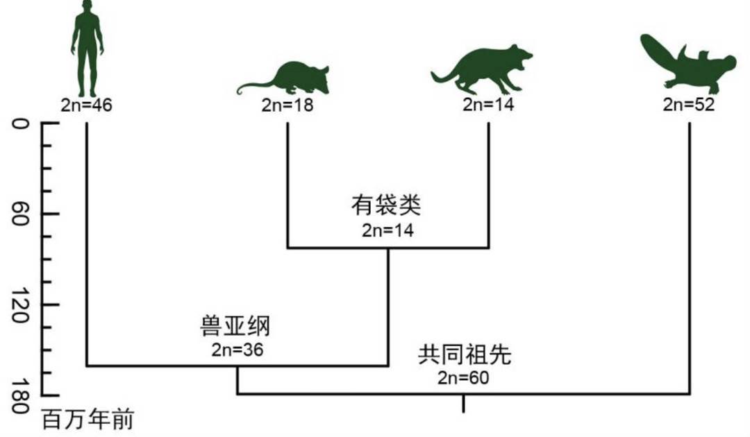 http://n.sinaimg.cn/sinakd202117s/110/w1080h630/20210107/f35e-kherpxy3682740.jpg