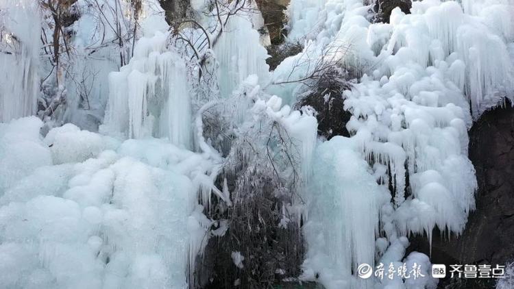 齐鲁晚报·齐鲁壹点 记者 周青先 通讯员 崔新程 摄