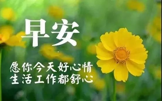 正能量早安语录的好句子,正能量励志早安录