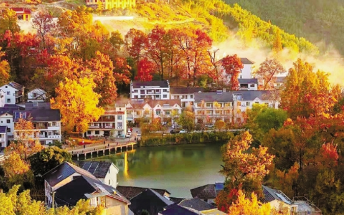 好一幅"富村山居图 临安指南村现村落景区新景象