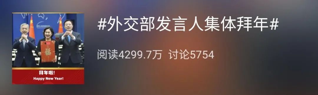 要写进我的简历   除夕(2月11日)下午       外交部发言人   华春莹