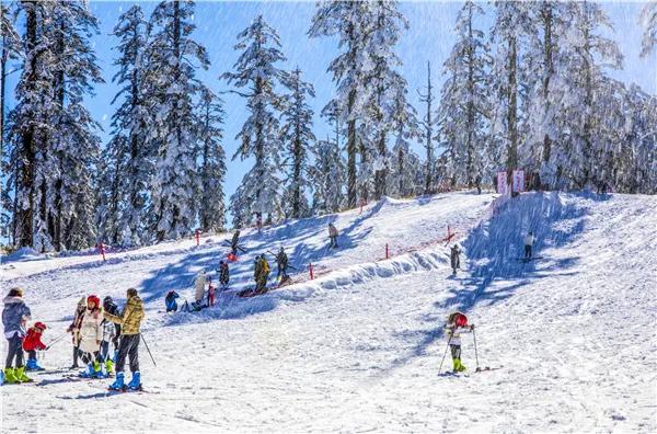 四川冰雪和温泉旅游节看点