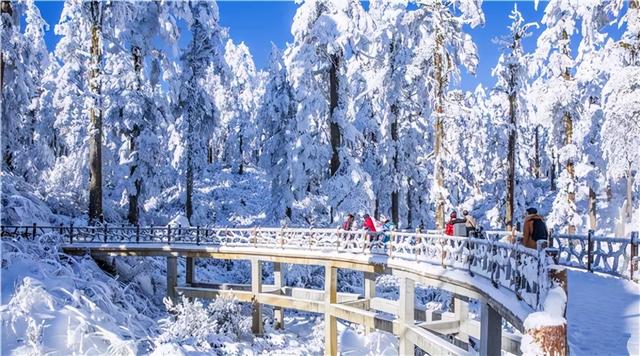 四川冰雪和温泉旅游节看点