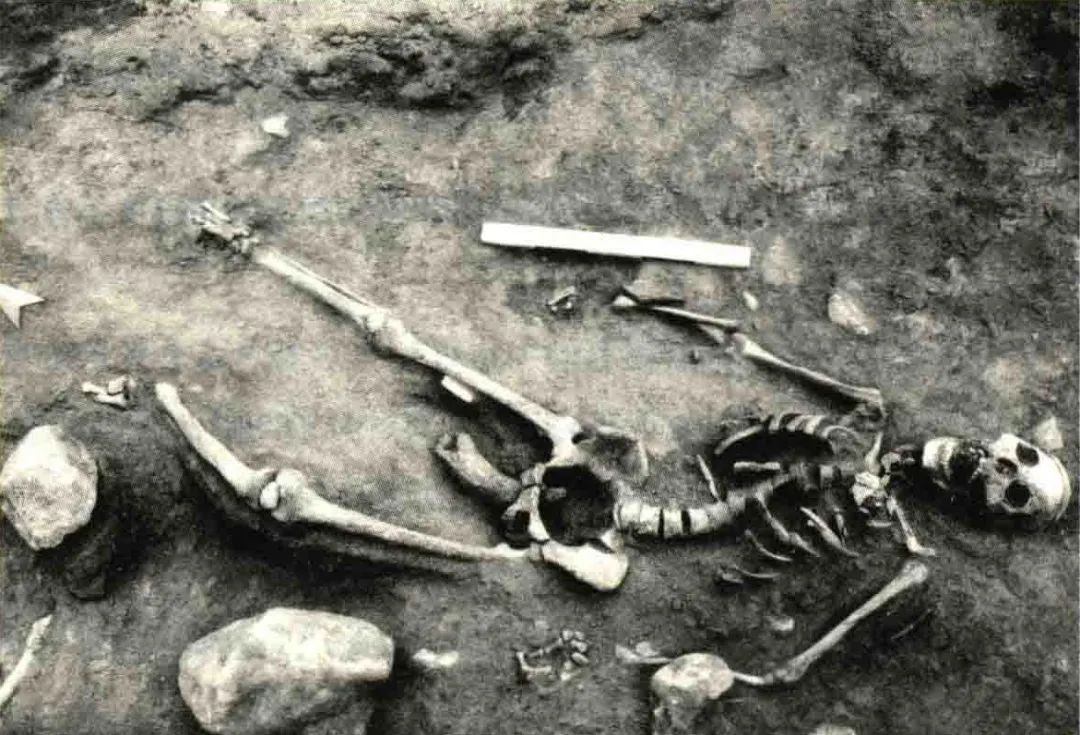 山西陶寺遗址中发现的下腹部有一根牛角的女性遗骸,距今约4000年左右。