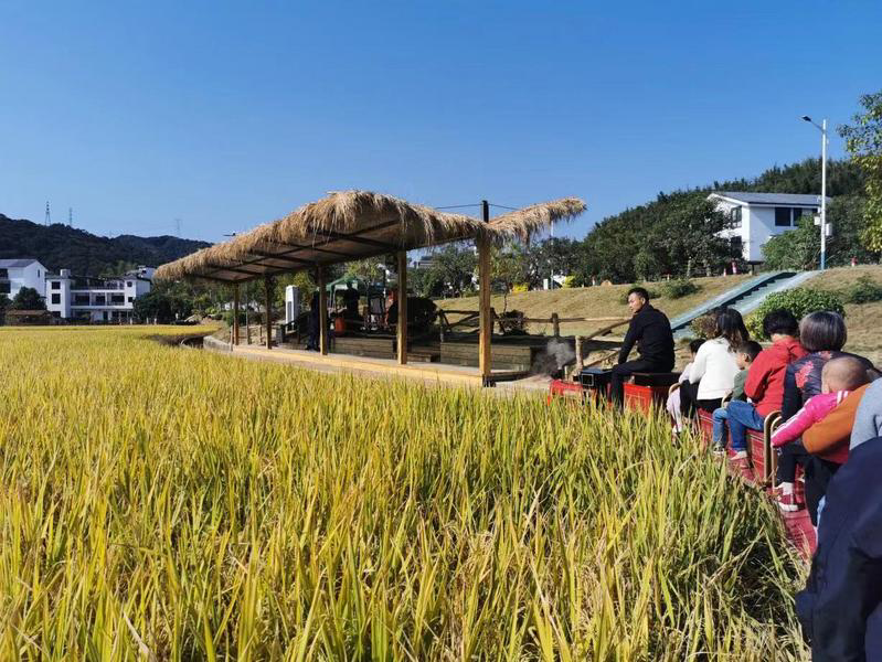 广东150家景区接待游客量再攀升，旅游新业态蓬勃发展