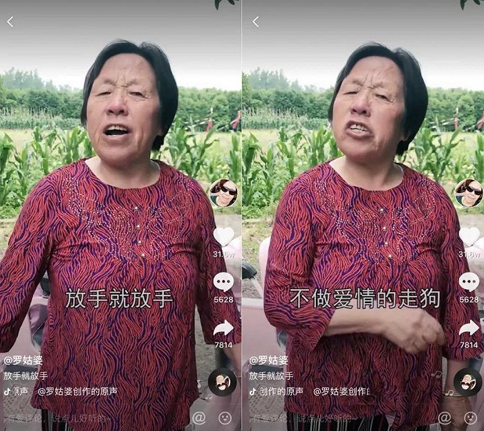 抖音上的老年博主“罗姑婆”,以分享自己的乡村生活走红 图片来源:CNBData