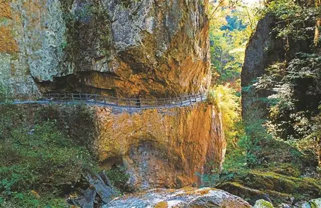景区栈道城口县文化旅游委供图