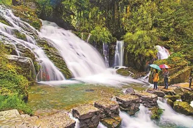 旅客打卡景区城口县文化旅游委供图