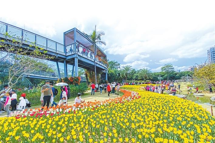 香蜜公园郁金香花海吸引许多市民游客前来打卡。深圳晚报记者 伊宵鸿 通讯员 韩跃武 摄