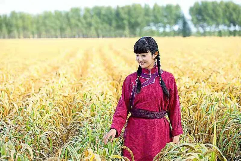 家乡剧《青谷子》热播,大庆的你追了吗?