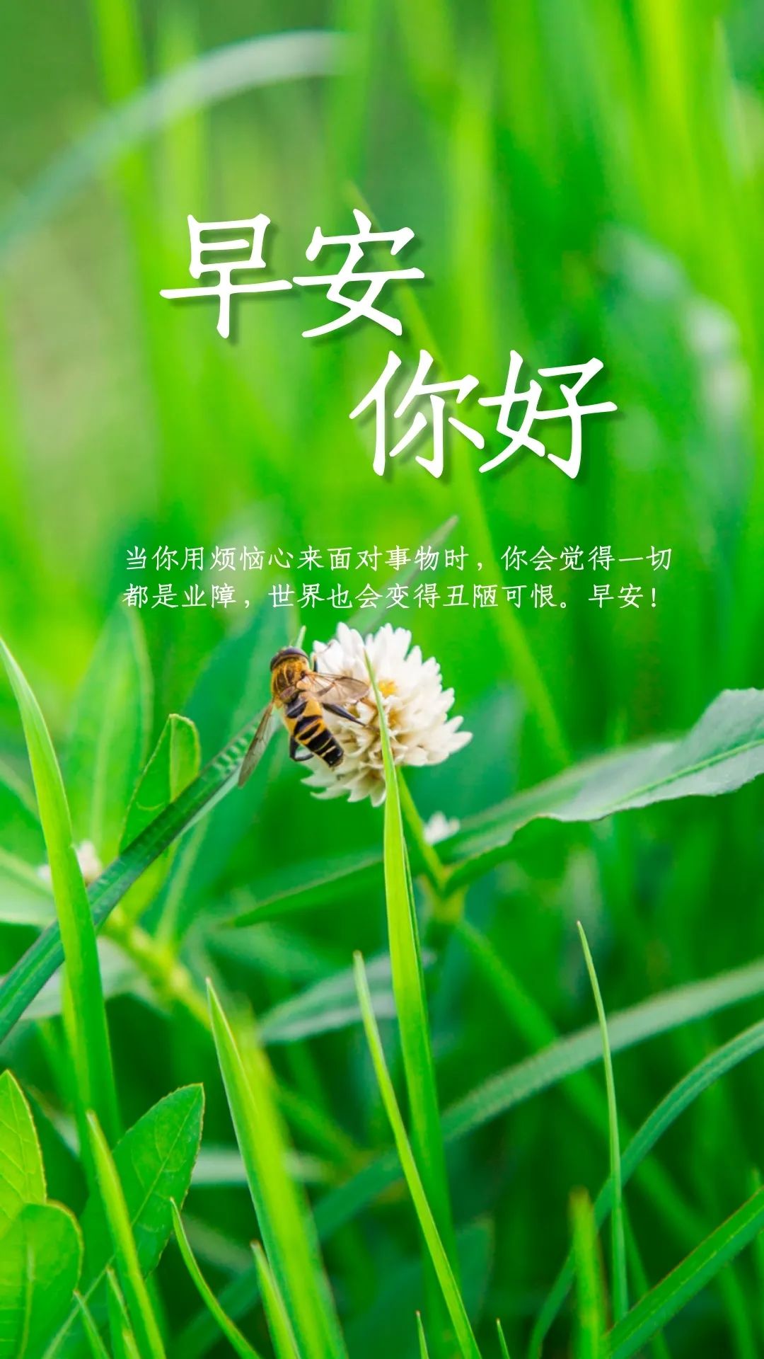 早安心语正能量励志句子,早安努力奋斗新的一天!