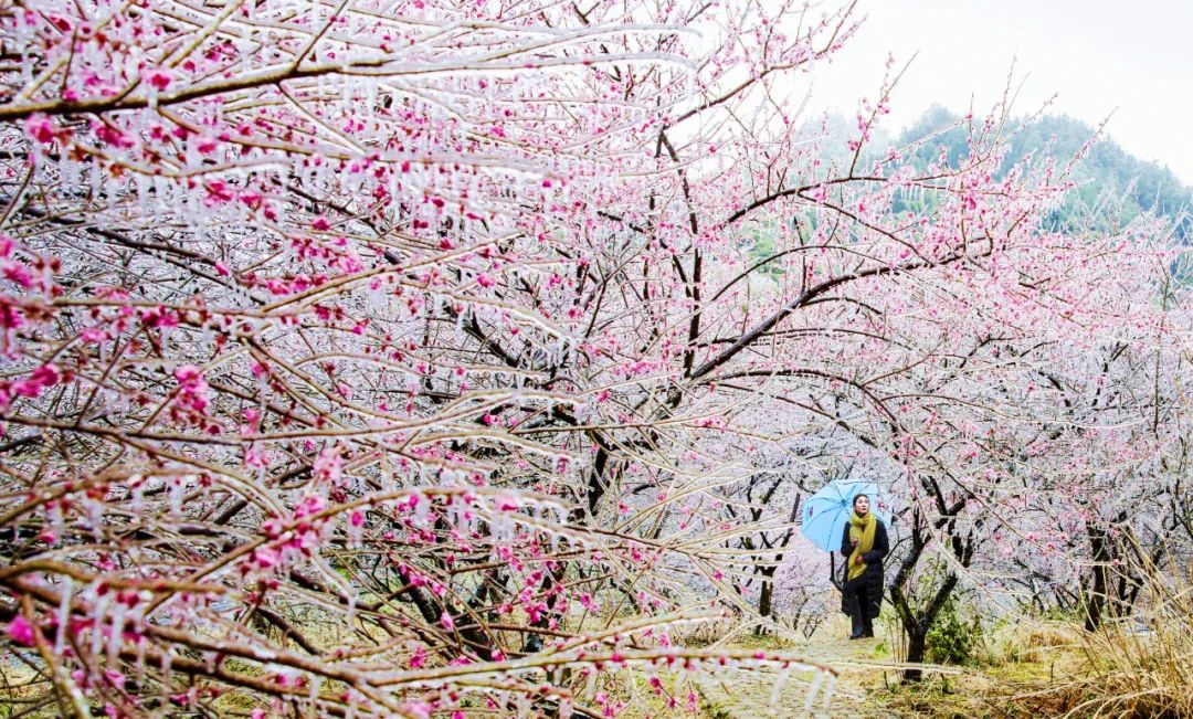 @潘旻/摄
