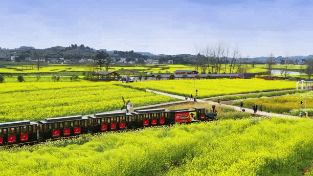 油菜花美景图:潼南微公布
