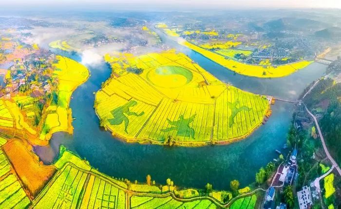 油菜花田 图:潼南微公布
