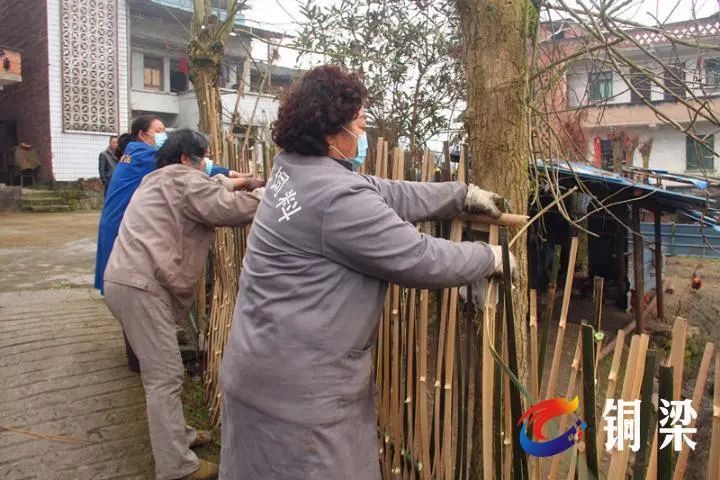 铜梁区华兴镇明月村,党员干部和村民们忙着整理院落。图:铜梁发布