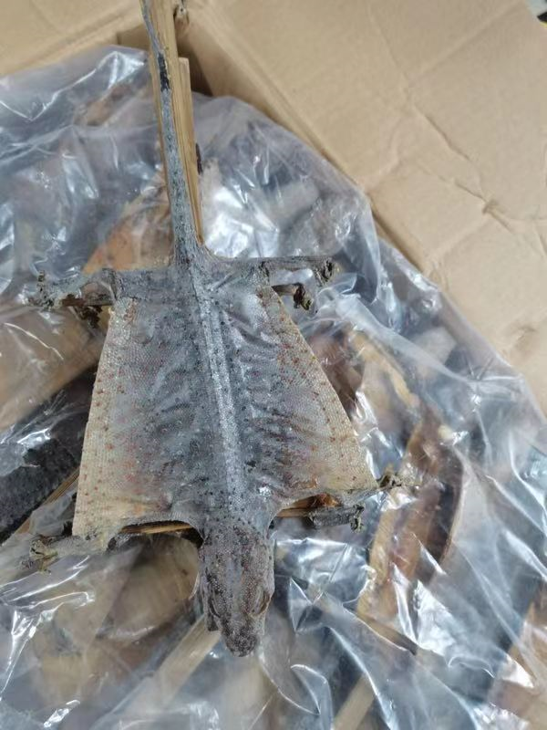 此次进口的印度尼西亚干制蛤蚧,属检疫性中药材。重庆海关供图