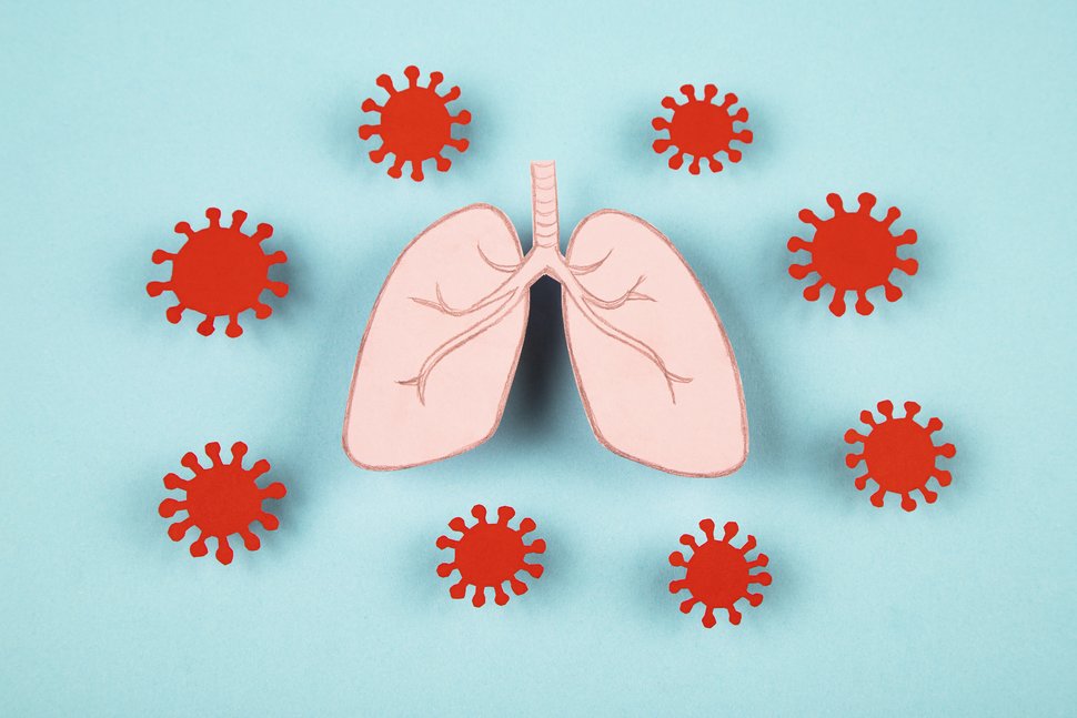 肺部深处被新冠病毒占领!美国现首例新冠器官移植感染,受赠者两个月后去世休闲区蓝鸢梦想 - Www.slyday.coM 肺部深处被新冠病毒占领!美国现首例新冠器官移植感染,受赠者两个月后去世休闲区蓝鸢梦想 - Www.slyday.coM