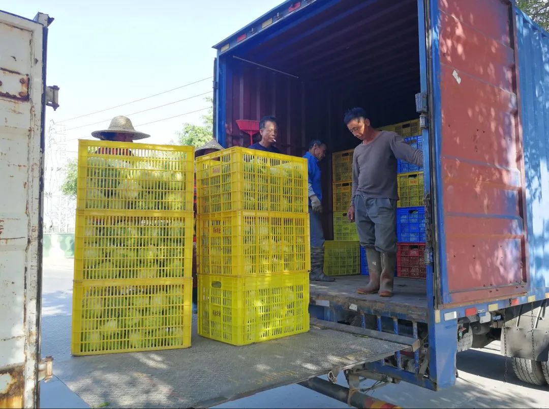 【重磅】今年中央一号文件聚焦这些内容,澄海这农场场长有话说...休闲区蓝鸢梦想 - Www.slyday.coM 【重磅】今年中央一号文件聚焦这些内容,澄海这农场场长有话说...休闲区蓝鸢梦想 - Www.slyday.coM