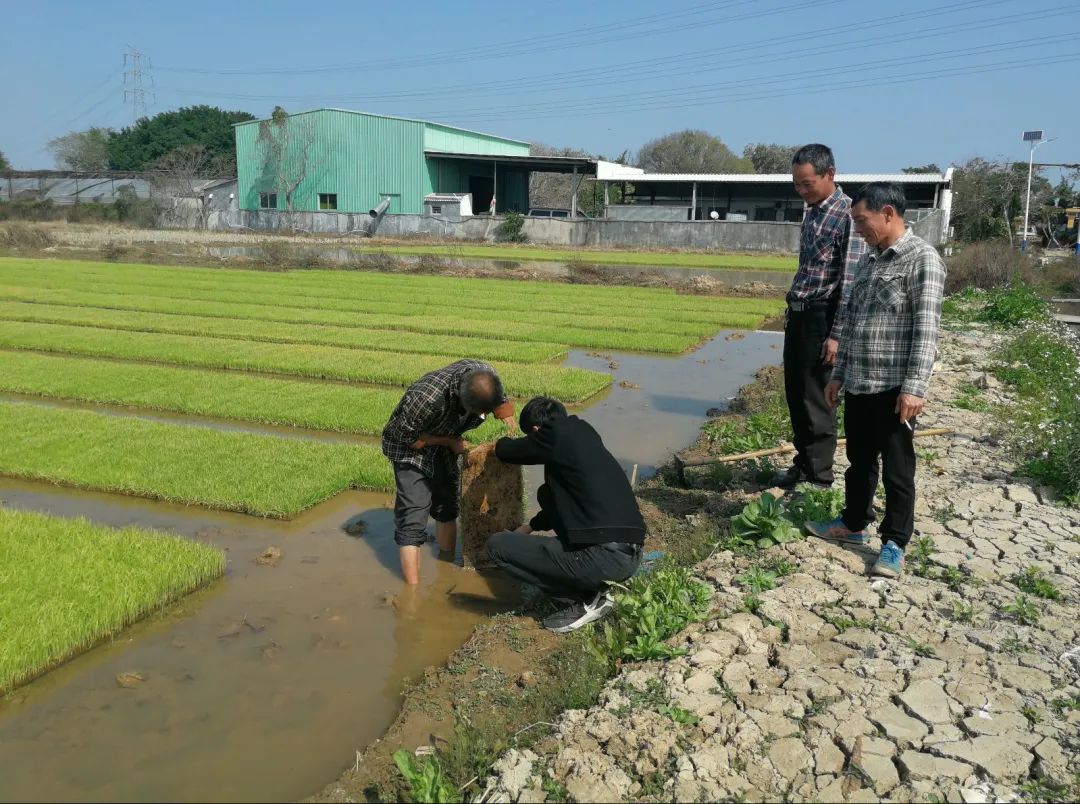 【重磅】今年中央一号文件聚焦这些内容,澄海这农场场长有话说...休闲区蓝鸢梦想 - Www.slyday.coM 【重磅】今年中央一号文件聚焦这些内容,澄海这农场场长有话说...休闲区蓝鸢梦想 - Www.slyday.coM