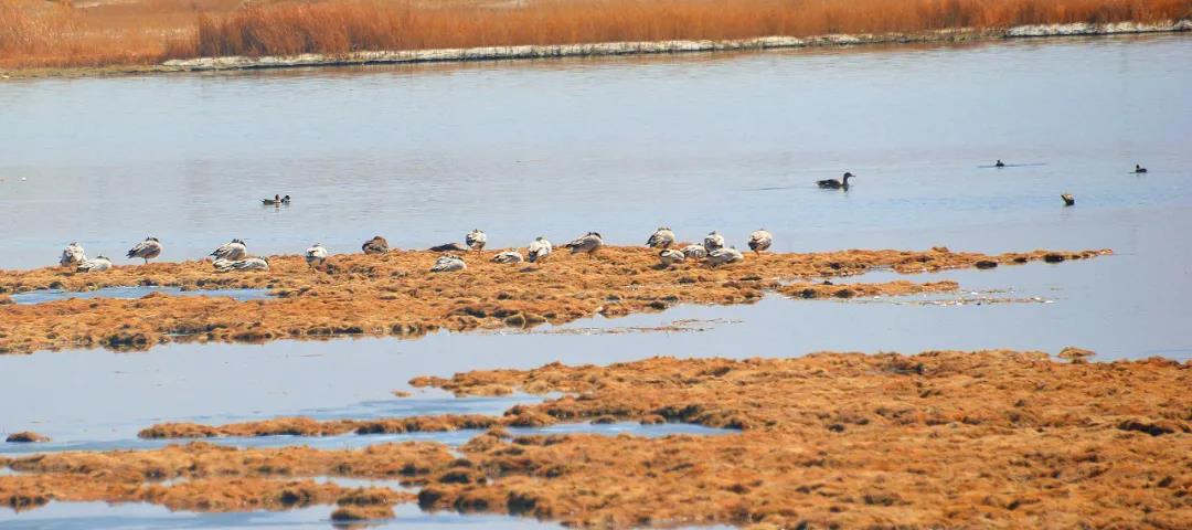 格尔木gdp_格尔木疗养院图片(2)