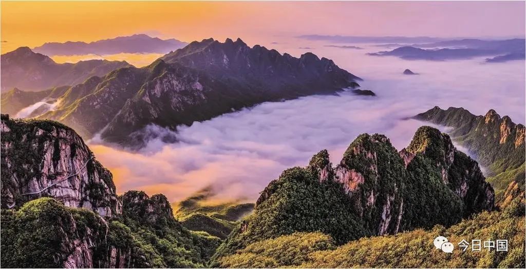 丹东同城约会约茶吧可靠吗