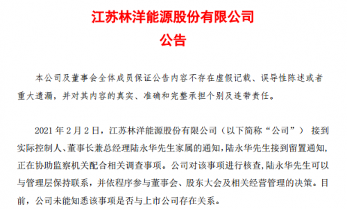 林洋能源实控人被留置前景良好股东阵容豪华公司突逢不测风云