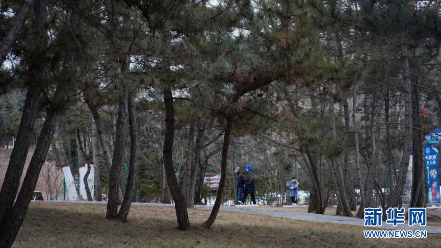   1月30日，市民正在西宁市南山公园内游玩。新华社记者吴刚 摄
