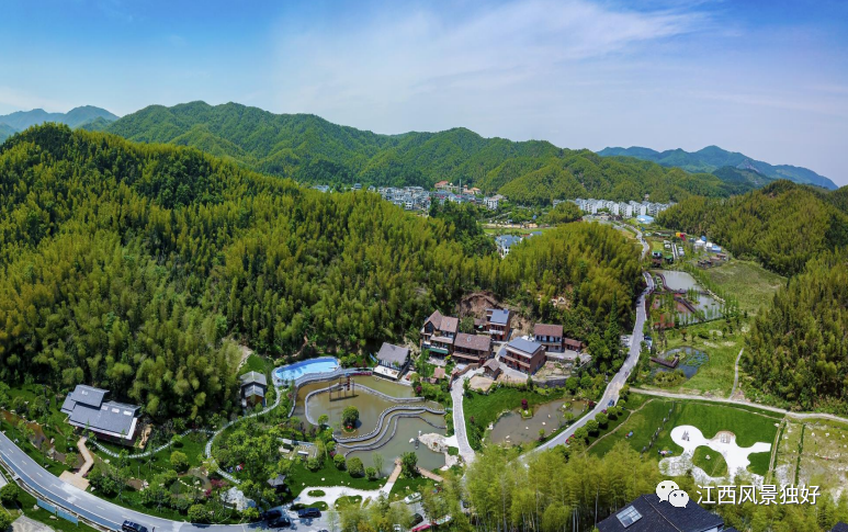 好消息!湾里这个地方入选江西省4A级乡村旅游点