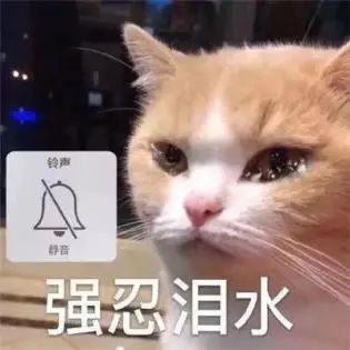 会流泪的小猫咪能有什么坏心眼儿