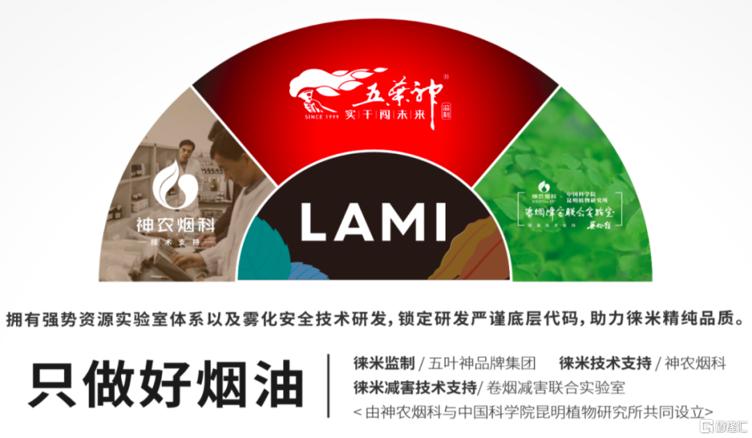 徕米电子烟,来源:网络
