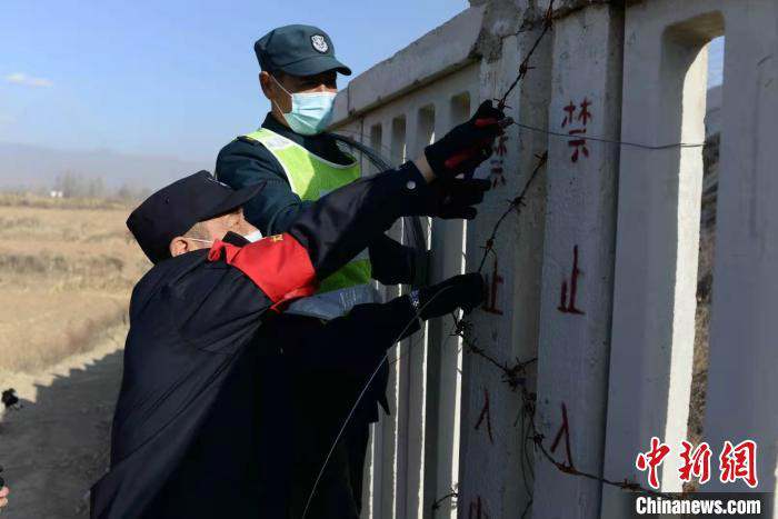 巡线5—10公里,检查沿线护网和治安隐患……这是张献忠每天都要进行的巡线工作。受访者供图