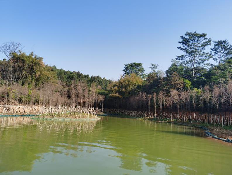 增城景点"上新"啦!超靓的荔湖环岛碧道等你来