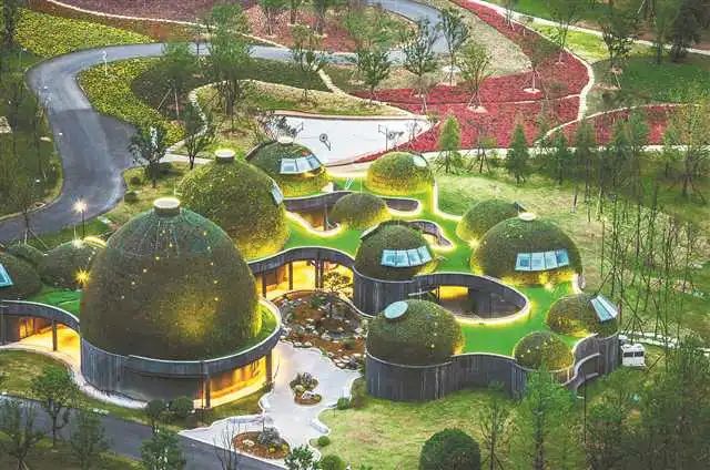苔藓馆全景 武隆区文旅委供图