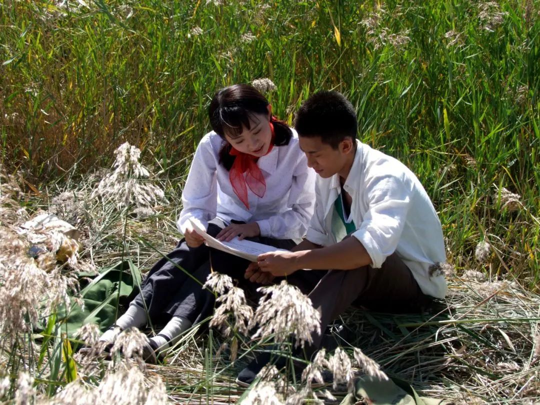 龙江制造精品大剧《青谷子》 今天19:30黑龙江卫视全国首轮独播