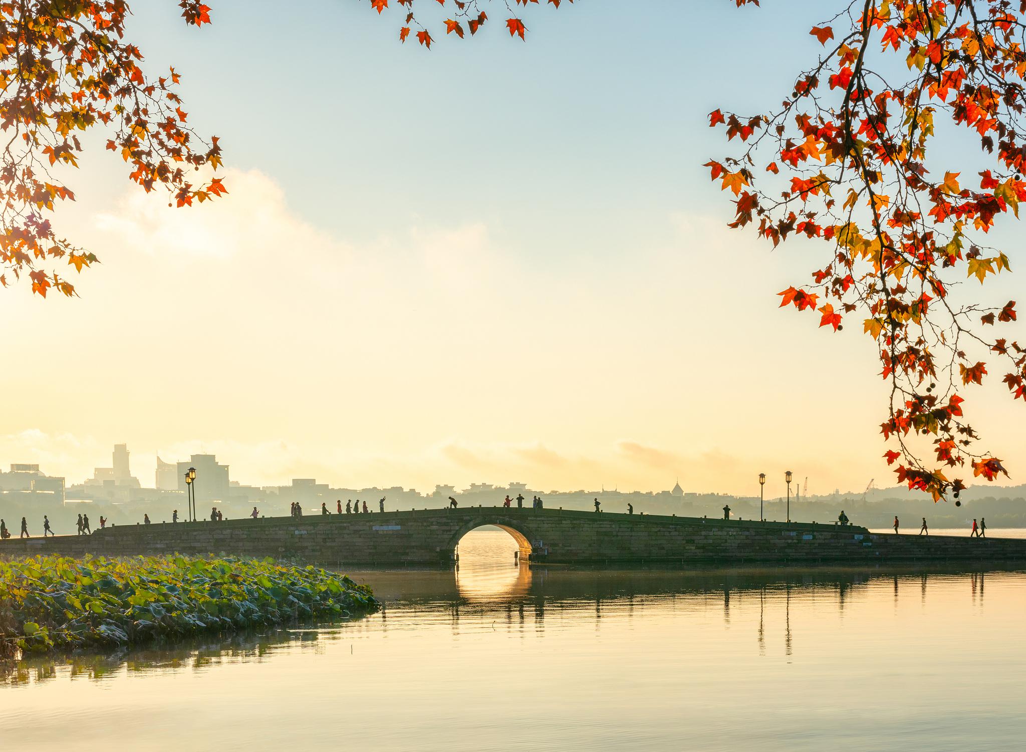 2022长桥溪生态公园游玩攻略,杭州长桥溪水生态修复公园位...【去哪儿攻略】