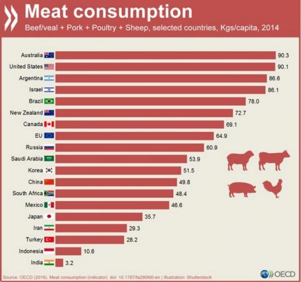人均肉类消费量_肉类卡通图片