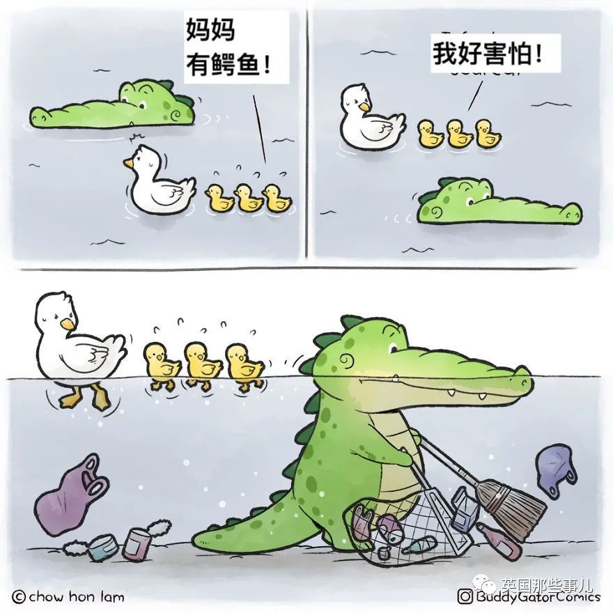 鳄鱼也能这么可爱!小鳄鱼gator和朋友们的生活,好治愈