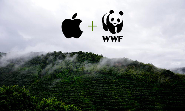 苹果最新推荐了款app一秒能把卧室变森林专访wwf