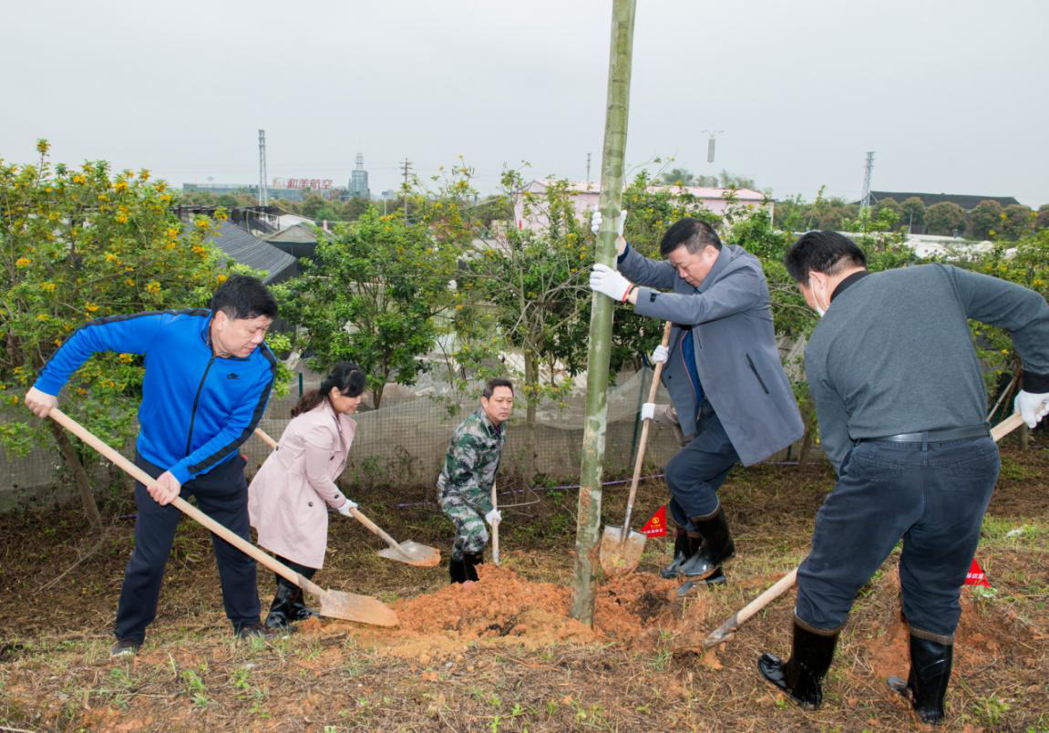 西乡塘区植树造林，水利清淤在行动