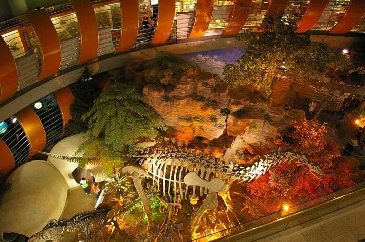 河南第一家国家级自然博物馆挂牌成立,镇馆之宝都有啥