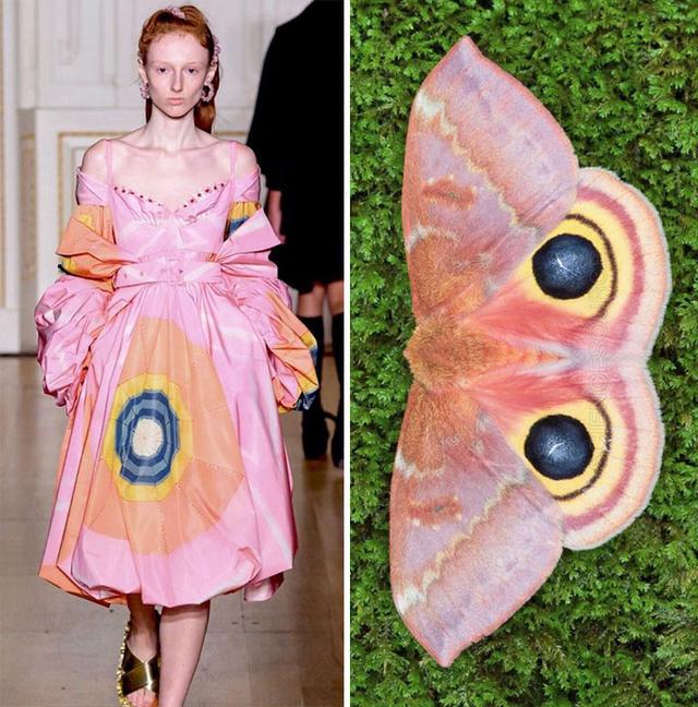 武汉茶友论坛的文化密码：千年茶都的现代雅集探索