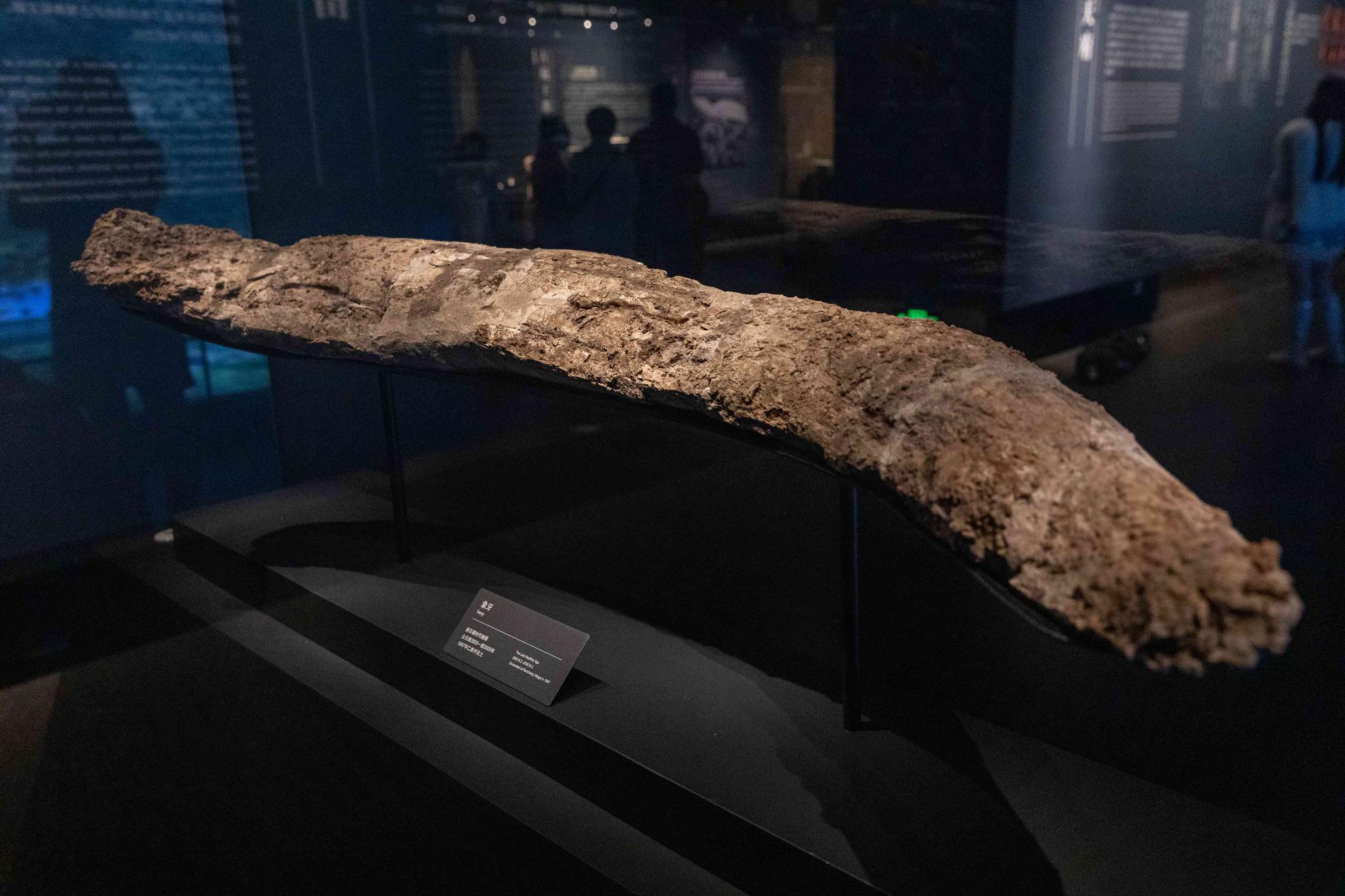 三星堆为什么被称20世纪人类最伟大考古发现之一?